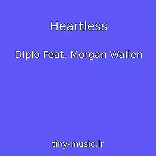کاور آهنگ Heartless از Diplo Feat. Morgan Wallen