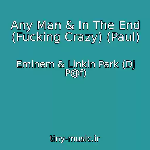 کاور آهنگ Any Man & In The End (Fucking Crazy) (Paul) از Eminem & Linkin Park (Dj P@f)