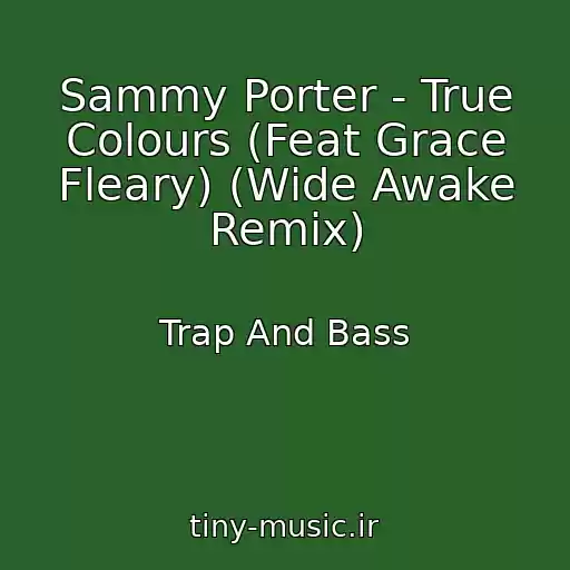 کاور آهنگ Sammy Porter - True Colours (Feat Grace Fleary) (Wide Awake Remix) از Trap And Bass