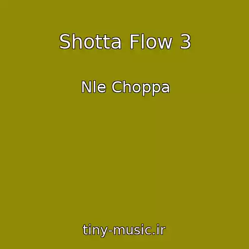 کاور آهنگ Shotta Flow 3 از Nle Choppa