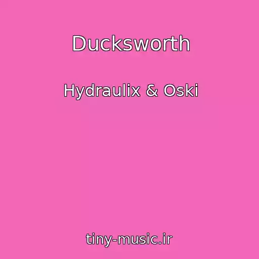 کاور آهنگ Ducksworth از Hydraulix & Oski