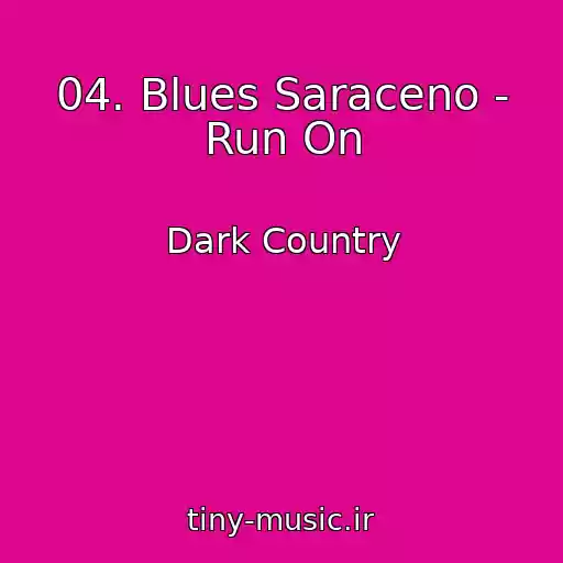 کاور آهنگ 04. Blues Saraceno - Run On از Dark Country