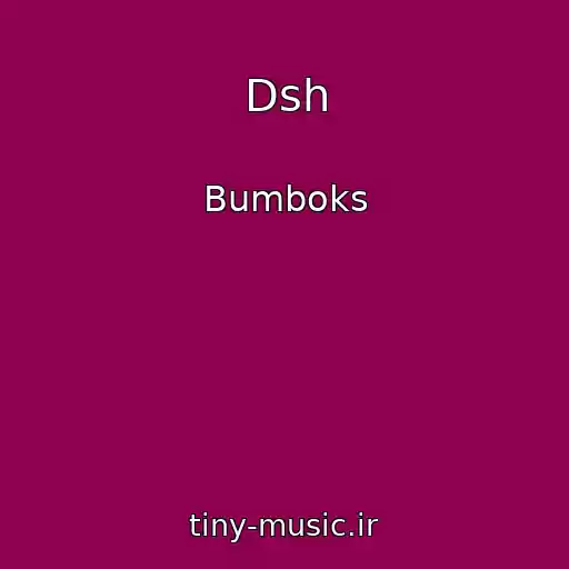 کاور آهنگ Dsh از Bumboks