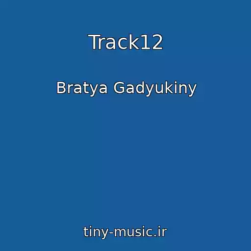 کاور آهنگ Track12 از Bratya Gadyukiny