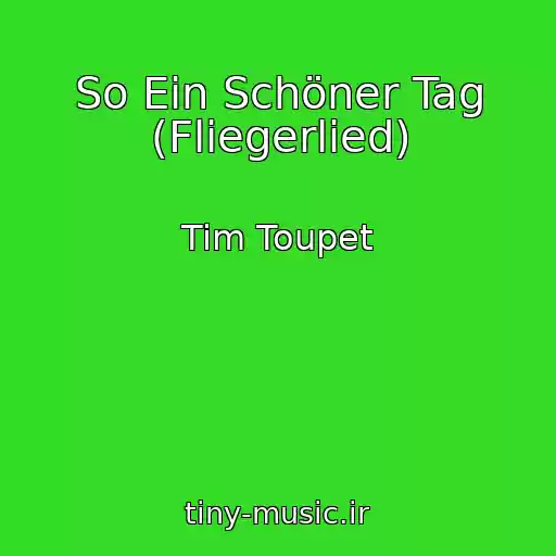 کاور آهنگ So Ein Schöner Tag (Fliegerlied) از Tim Toupet