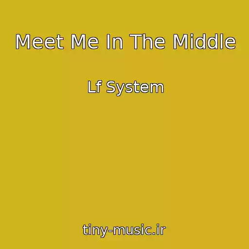کاور آهنگ Meet Me In The Middle از Lf System