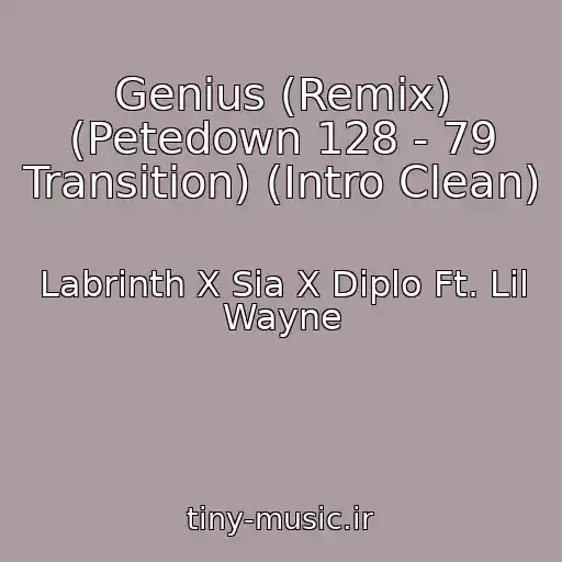 کاور آهنگ Genius (Remix) (Petedown 128 - 79 Transition) (Intro Clean) از Labrinth X Sia X Diplo Ft. Lil Wayne