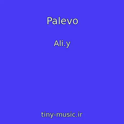 کاور آهنگ Palevo از Ali.y