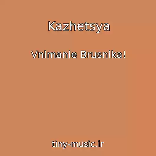 کاور آهنگ Kazhetsya از Vnimanie Brusnika!