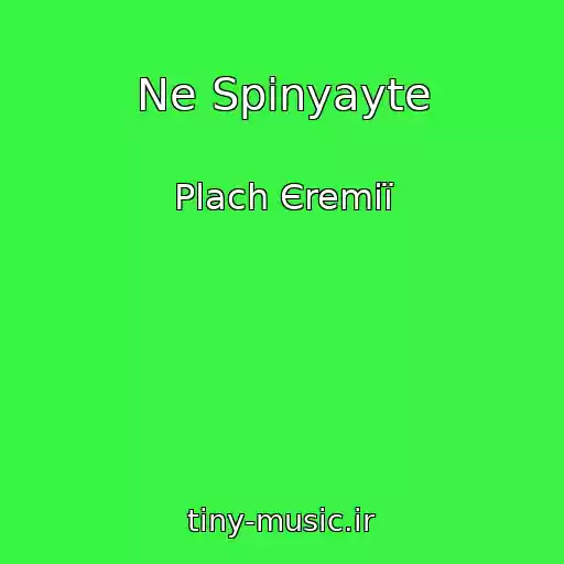 کاور آهنگ Ne Spinyayte از Plach Єremії