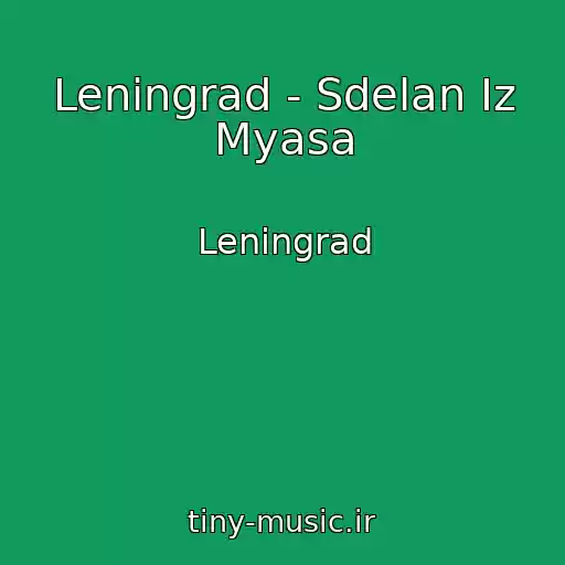 کاور آهنگ Leningrad - Sdelan Iz Myasa از Leningrad