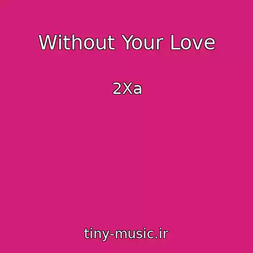 کاور آهنگ Without Your Love از 2Xa