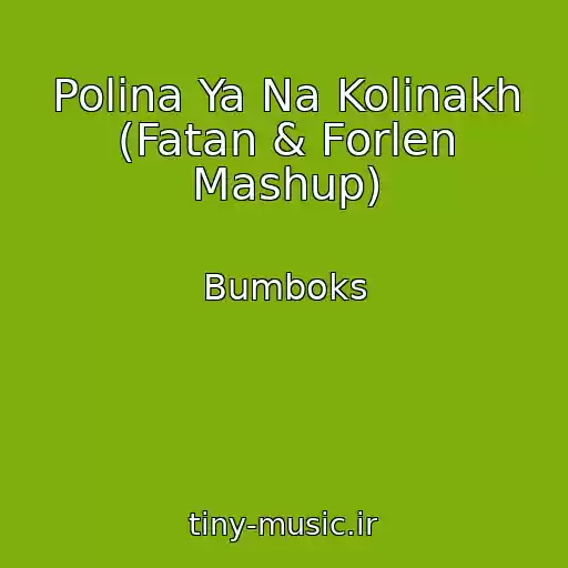 کاور آهنگ Polіna Ya Na Kolіnakh (Fatan & Forlen Mashup) از Bumboks
