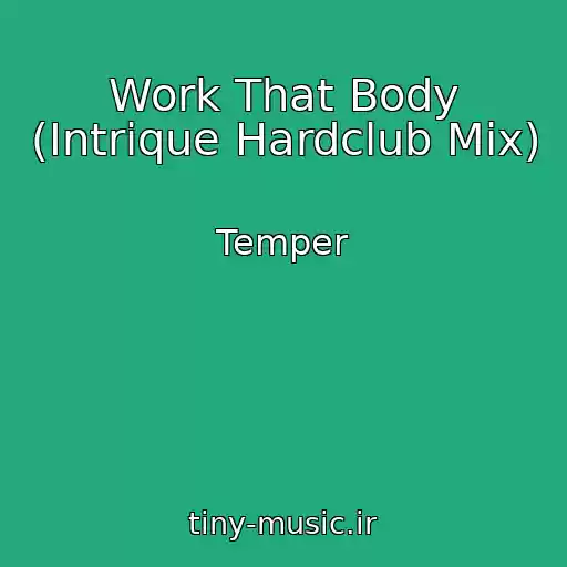 کاور آهنگ Work That Body (Intrique Hardclub Mix) از Temper