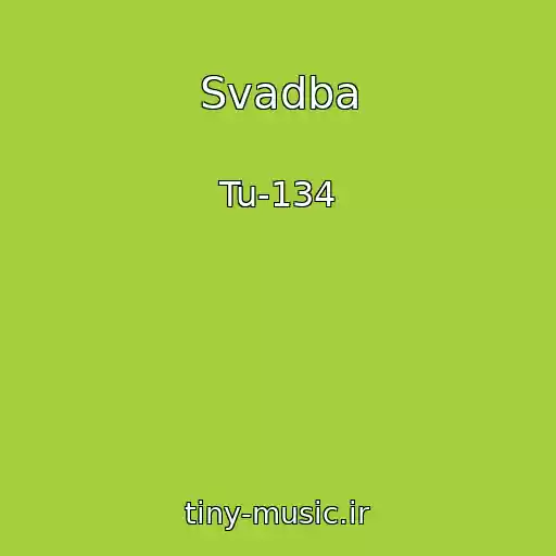 کاور آهنگ Svadba از Tu-134