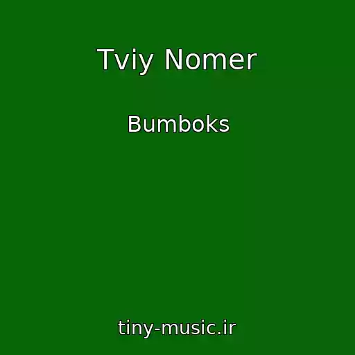 کاور آهنگ Tvіy Nomer از Bumboks