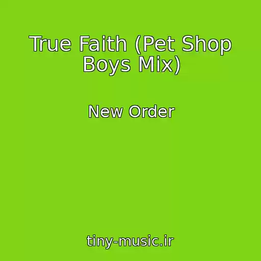 کاور آهنگ True Faith (Pet Shop Boys Mix) از New Order