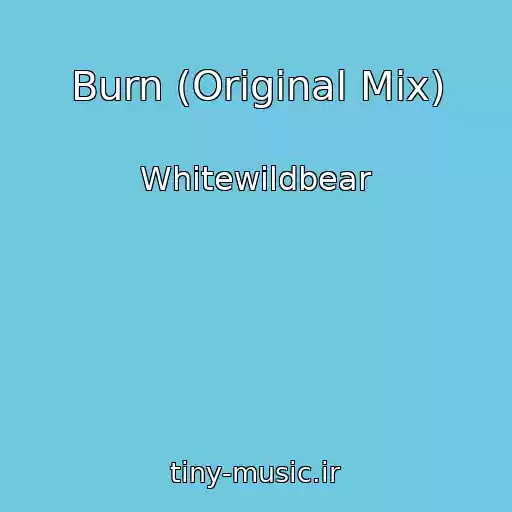کاور آهنگ Burn (Original Mix) از Whitewildbear