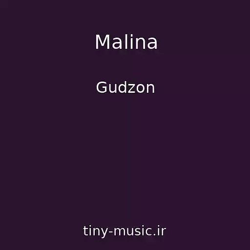 کاور آهنگ Malina از Gudzon
