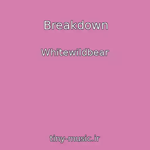 کاور آهنگ Breakdown از Whitewildbear