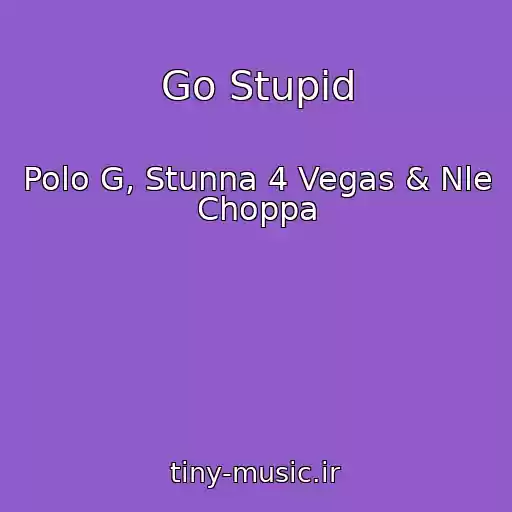 کاور آهنگ Go Stupid از Polo G, Stunna 4 Vegas & Nle Choppa