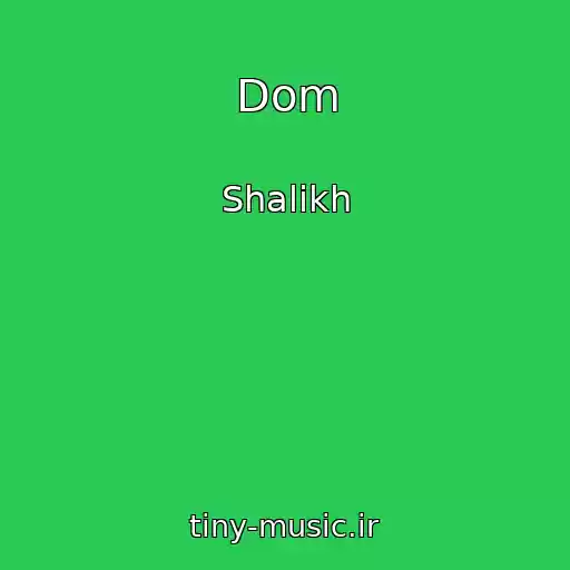 کاور آهنگ Dom از Shalikh