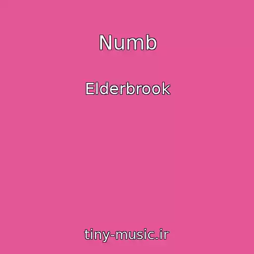 کاور آهنگ Numb از Elderbrook