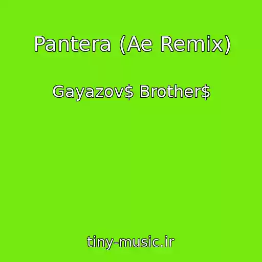 کاور آهنگ Pantera (Ae Remix) از Gayazov$ Brother$