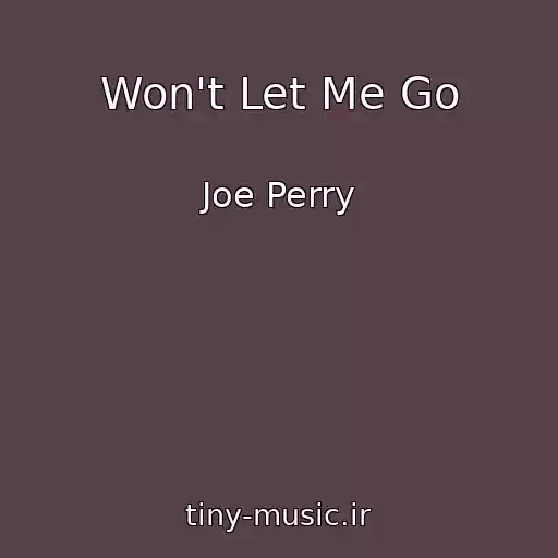 کاور آهنگ Won't Let Me Go از Joe Perry