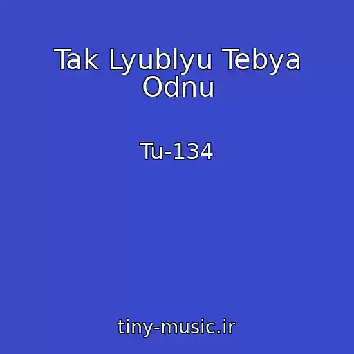 کاور آهنگ Tak Lyublyu Tebya Odnu از Tu-134