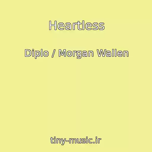 کاور آهنگ Heartless از Diplo / Morgan Wallen