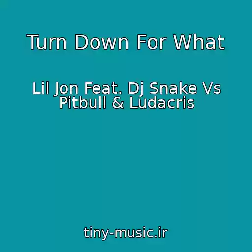 کاور آهنگ Turn Down For What از Lil Jon Feat. Dj Snake Vs Pitbull & Ludacris
