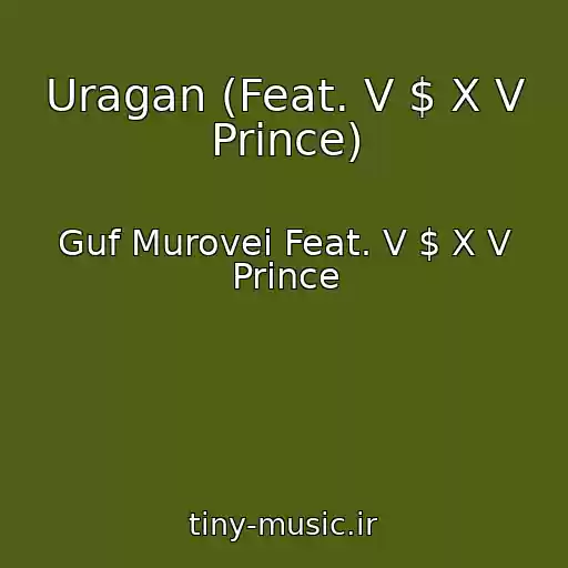 کاور آهنگ Uragan (Feat. V $ X V Prince) از Guf Murovei Feat. V $ X V Prince
