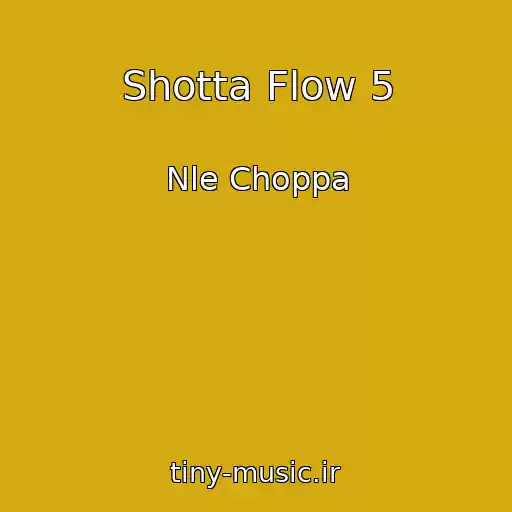 کاور آهنگ Shotta Flow 5 از Nle Choppa