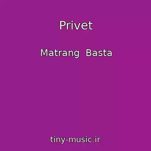 کاور آهنگ Privet از Matrang  Basta