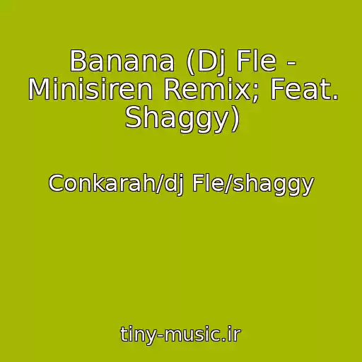 کاور آهنگ Banana (Dj Fle - Minisiren Remix; Feat. Shaggy) از Conkarah/dj Fle/shaggy