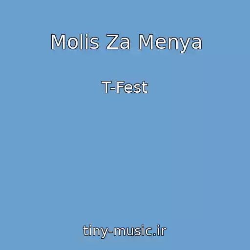 کاور آهنگ Molis Za Menya از T-Fest