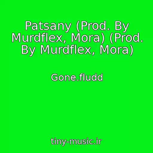 کاور آهنگ Patsany (Prod. By Murdflex, Mora) (Prod. By Murdflex, Mora) از Gone.fludd