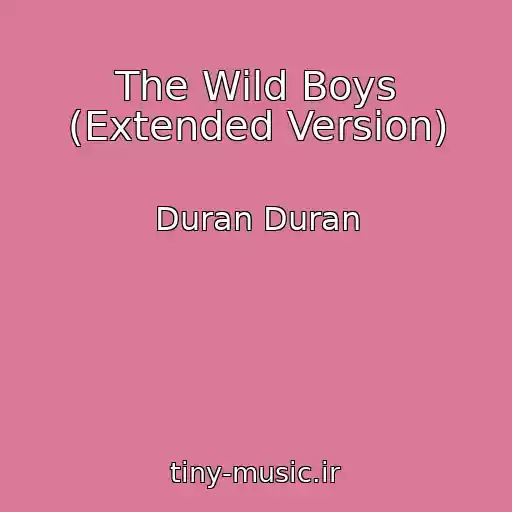 کاور آهنگ The Wild Boys (Extended Version) از Duran Duran