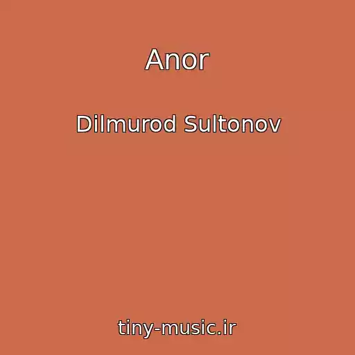 کاور آهنگ Anor از Dilmurod Sultonov