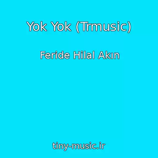 کاور آهنگ Yok Yok (Trmusic) از Feride Hilal Akın