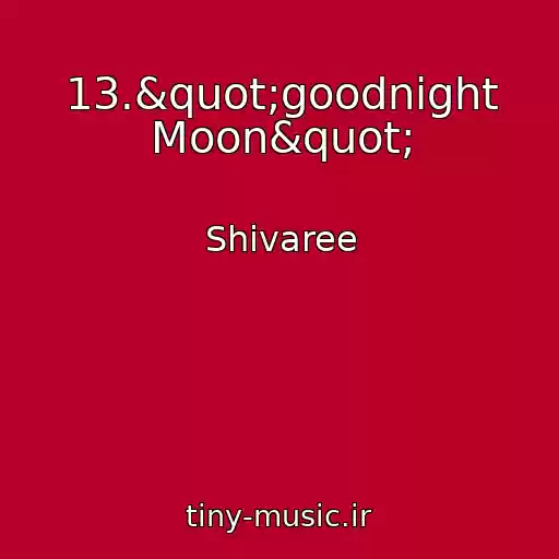 کاور آهنگ 13."goodnight Moon" از Shivaree