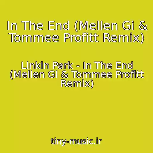 کاور آهنگ In The End (Mellen Gi & Tommee Profitt Remix) از Linkin Park - In The End (Mellen Gi & Tommee Profitt Remix)