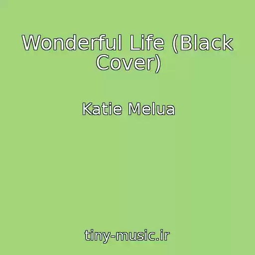 کاور آهنگ Wonderful Life (Black Cover) از Katie Melua
