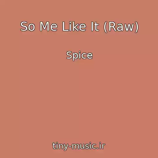 کاور آهنگ So Me Like It (Raw) از Spice