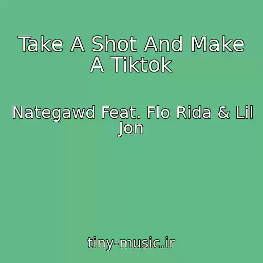 کاور آهنگ Take A Shot And Make A Tiktok از Nategawd Feat. Flo Rida & Lil Jon