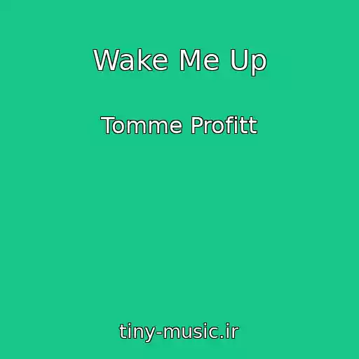 کاور آهنگ Wake Me Up از Tomme Profitt