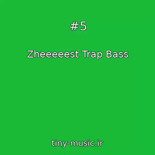 کاور آهنگ #5 از Zheeeeest Trap Bass