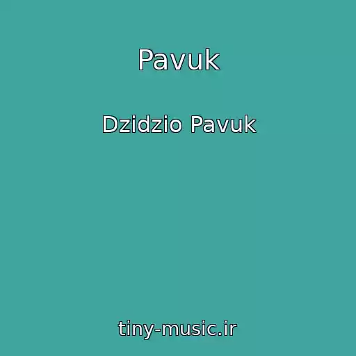کاور آهنگ Pavuk از Dzidzio Pavuk