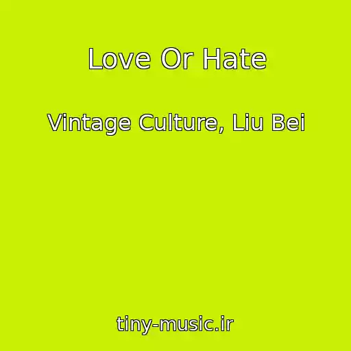کاور آهنگ Love Or Hate از Vintage Culture, Liu Bei